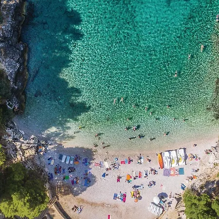 Apartman In With Wifi